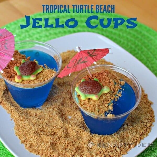 Blue Raspberry Jello Cups for Kids: Tropical Turtle Beach - Kenarry.com