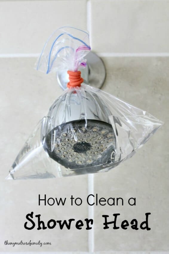 How to Clean a Shower Head from The Melrose Family featured in the Summer Spotlight
