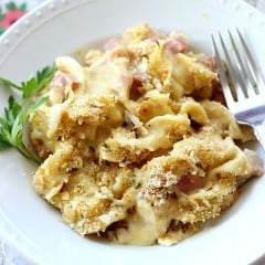 This Chicken Cordon Bleu Noodle Bake makes an easy, comforting dinner any day of the week. It's a delicious one-pot meal the whole family will love!