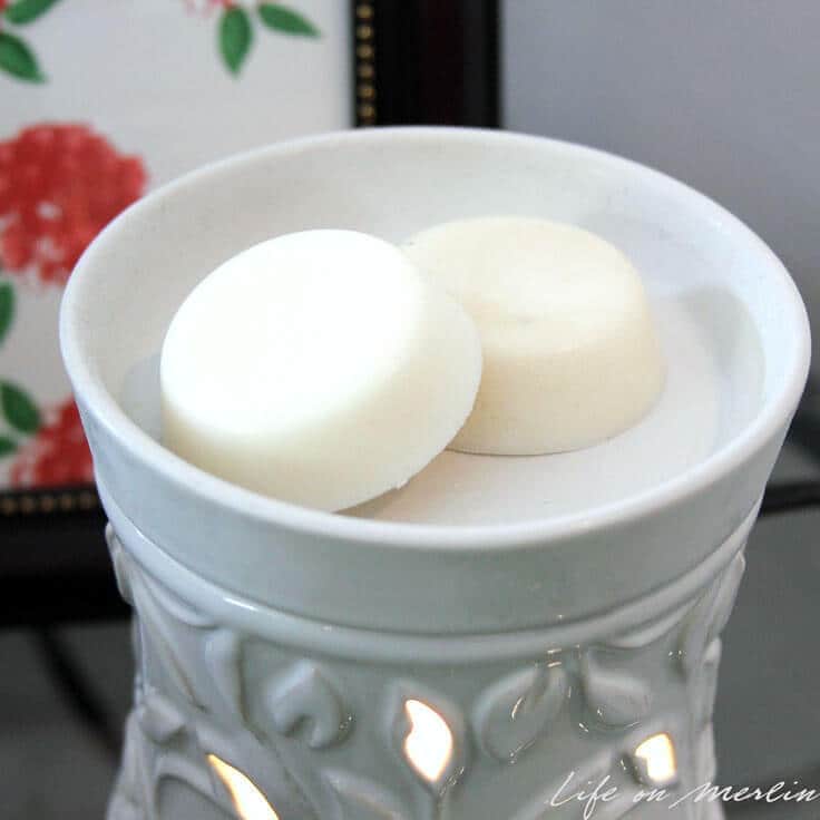 How to Make Soy Wax Tarts