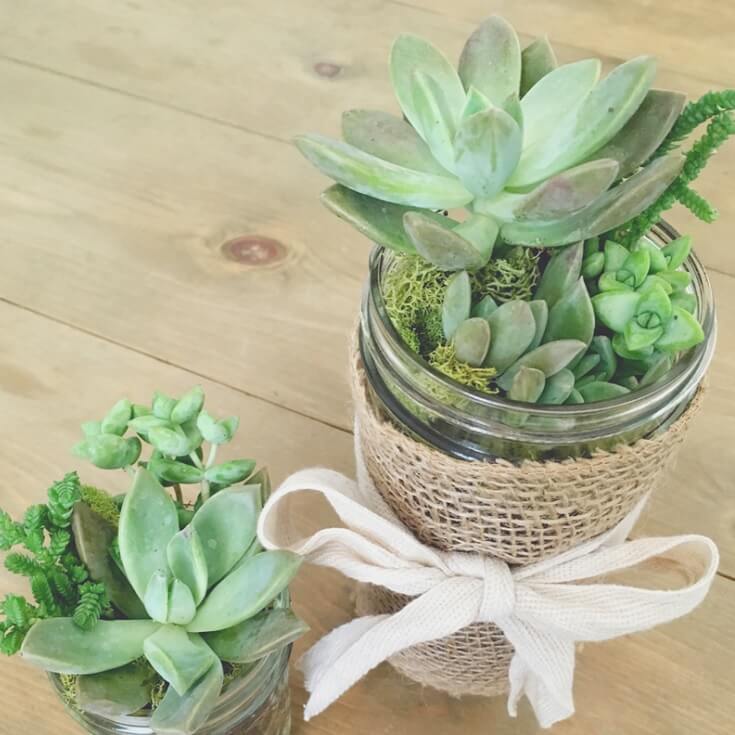 How to turn mason jars into succulent planters