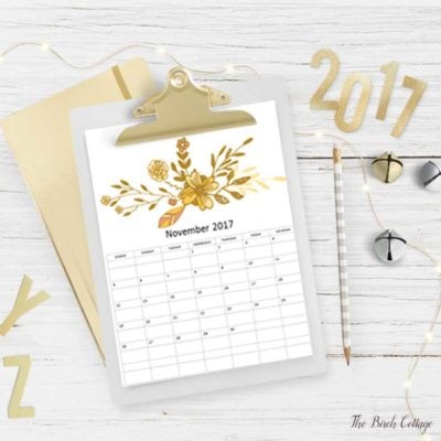 Download Your Free 2017 Printable Monthly Calendar