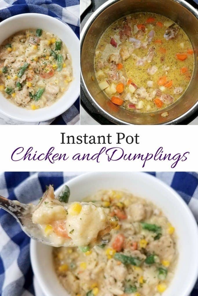 Instant Pot Chicken and Dumplings - So Delicious the Kids Won't Notice ...