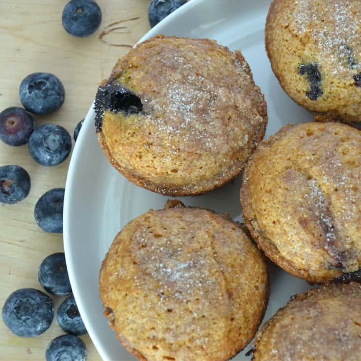 Pumpkin Blueberry Streusel Muffins