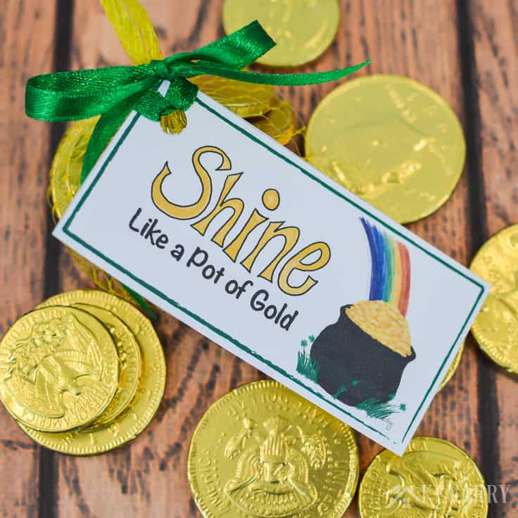 You shine like a pot of gold! Use these free printable treat tags with a bright colorful rainbow for St. Patrick's Day party favors. The design is fun for both kids and adults.