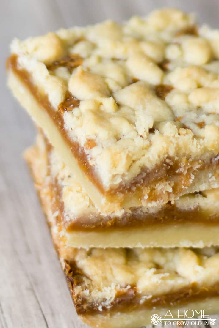 Salted Caramel Butter Bars Recipe: Easy Dessert Idea | Kenarry