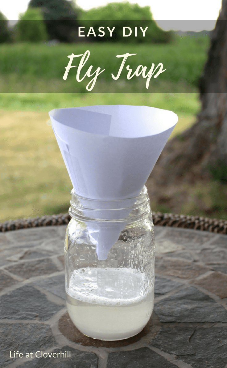 DIY fly trap with liquid mixture in a mason jar and a paper funnel