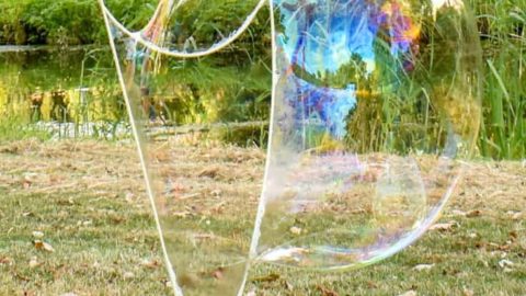 Learn how to create super fun giant bubbles with a couple of sticks and some string!