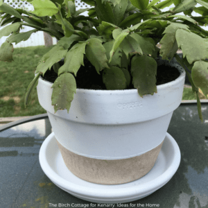 A flower pot makeover with two tone paint by The Birch Cottage