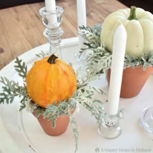 Learn how to create a simple but stylish display using pumpkins and gourds.
