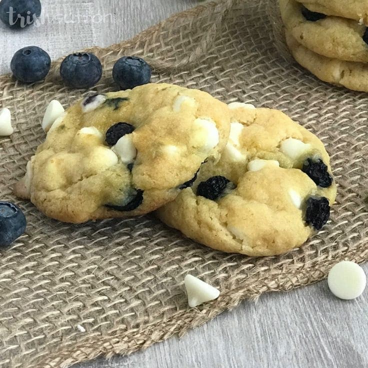 Soft Blueberry White Chocolate Chip Cookies Recipe | TrishSutton.com