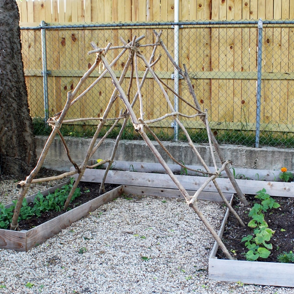 Backyard garden idea wood trellis from One Mama's Daily Drama.