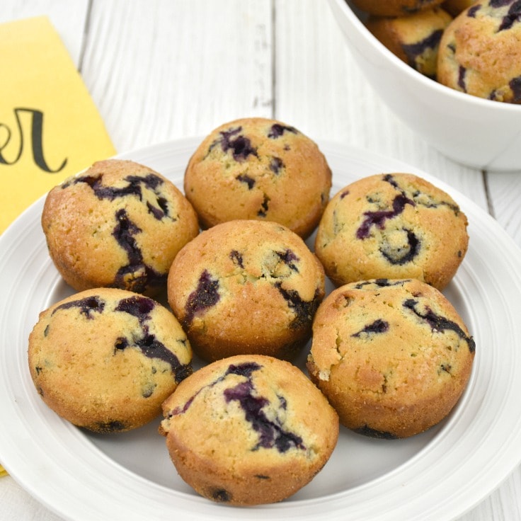Easy Homemade Blueberry Muffins Recipe