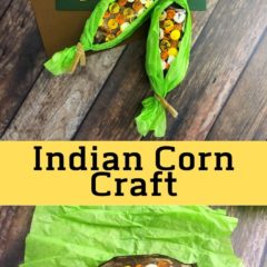 This Thanksgiving Craft: Paper Towel Roll Indian Corn is not only easy to make but you can recycle your paper towel rolls too.