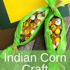 This Thanksgiving Craft: Paper Towel Roll Indian Corn is not only easy to make but you can recycle your paper towel rolls too.