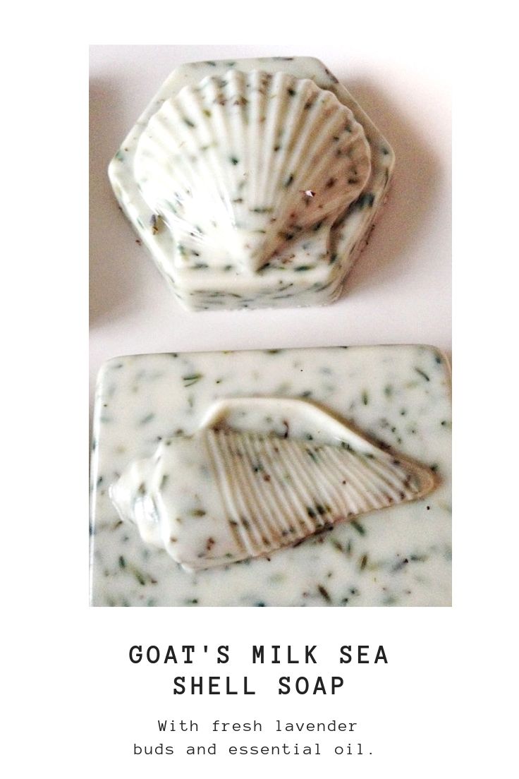 Learn how to make the most beautiful sea shell goat's milk soap, that not only looks pretty, but smells divine. What a thoughtful gift idea as well! #goatsmilk #seashellsoap