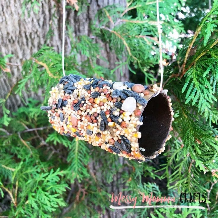 Our Easy to Make Bird Feeders are perfect for the fall months when the birds need to build fat reserve to get ready for migration.