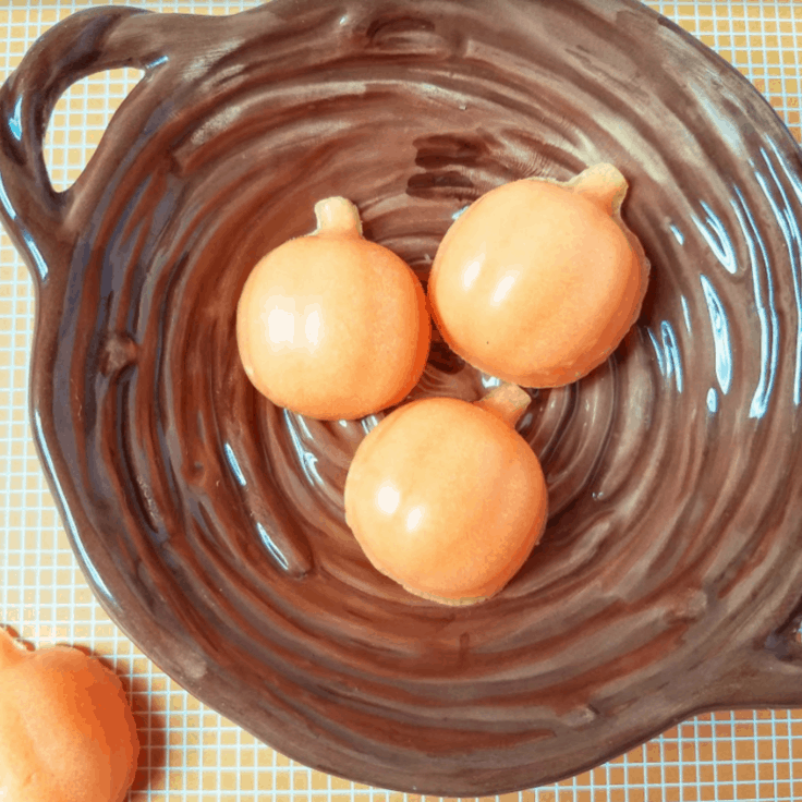 How To Make Adorable Pumpkin Sugar Scrub Bars