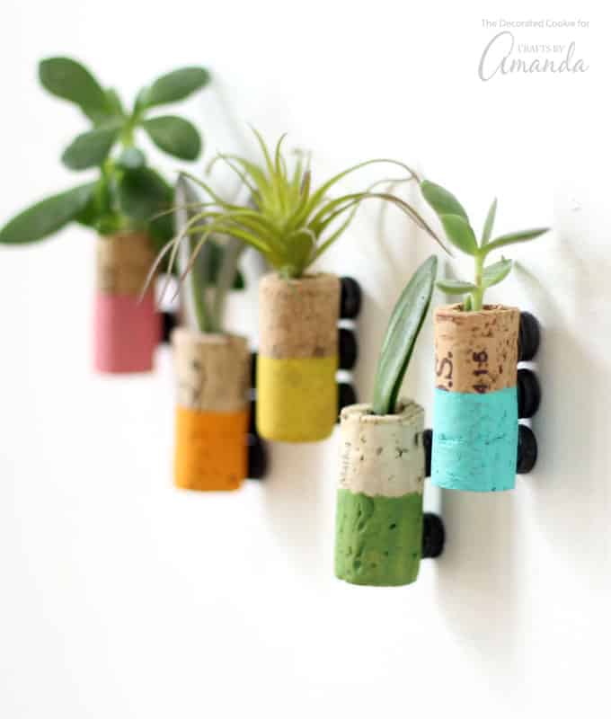 Wine cork succulent magnets 