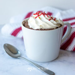 123 cake in a cup, this delicious mug cake can be made with any cake mix and is microwaveable.