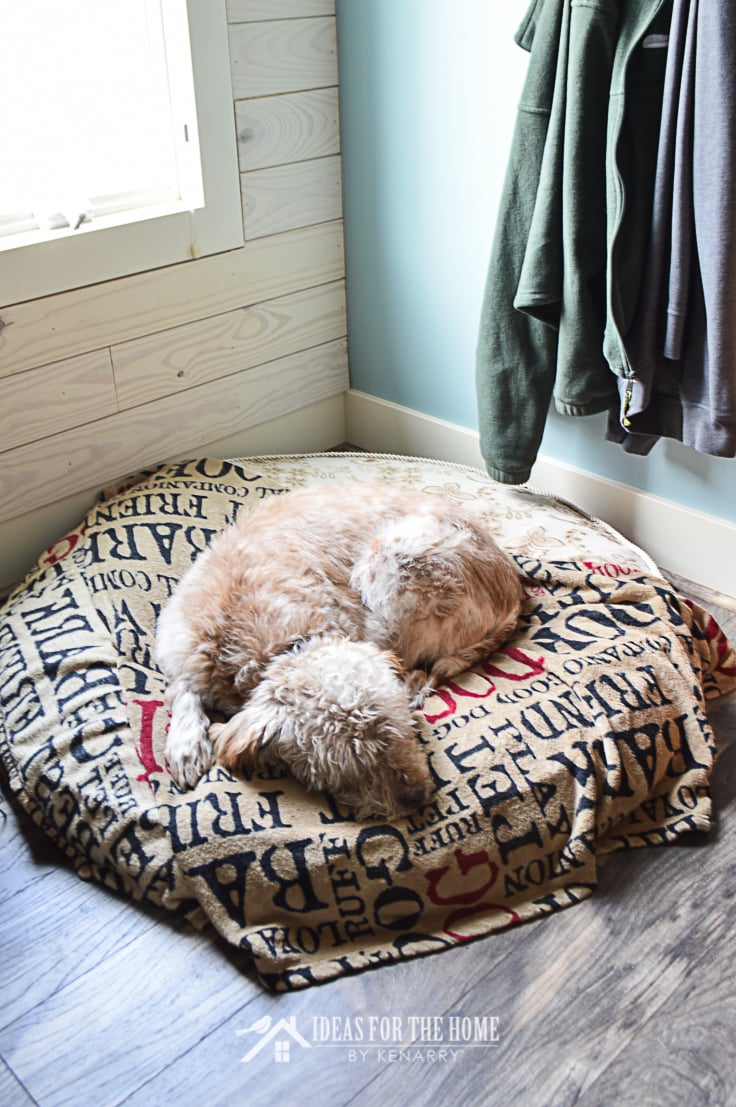 Dog sleeping on dog bed in a master bedroom