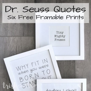 Framed Dr Seuss Quote on a wood background.