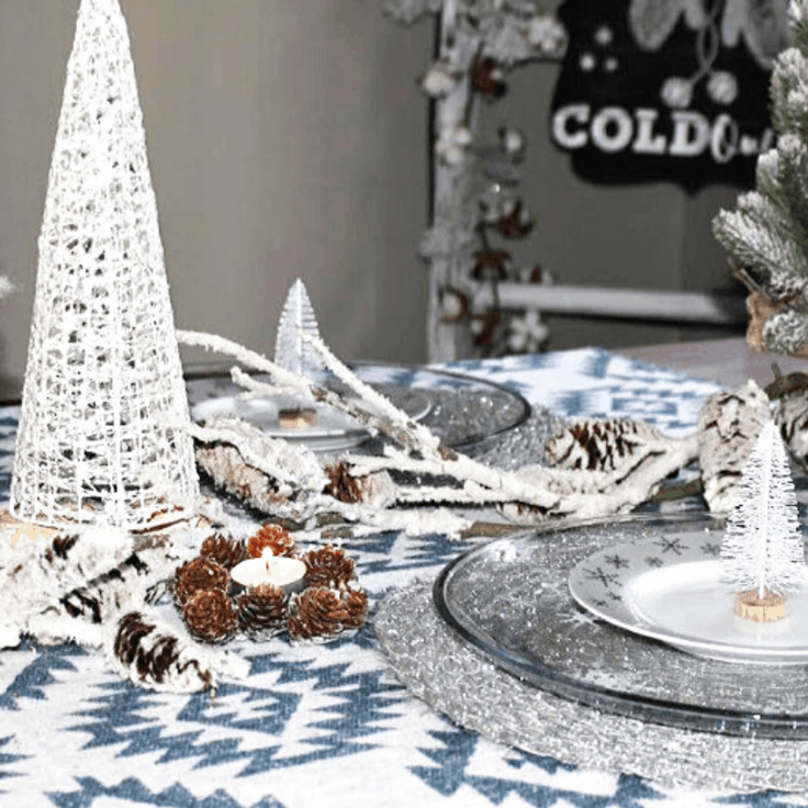 Quick and Easy Ideas to Update Christmas Decor to Winter Decor
