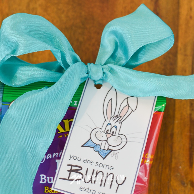 A big bow is used to attach an Easter printable gift tag to a bag of rabbit shaped graham crackers