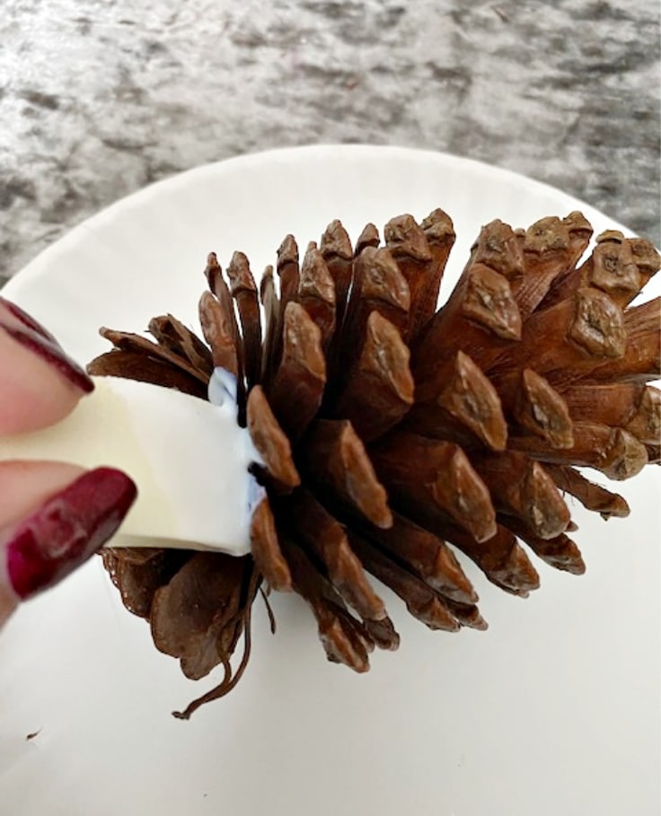 pine cones with glue