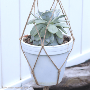 DIY Easy Macrame Plant Hanger by The Birch Cottage
