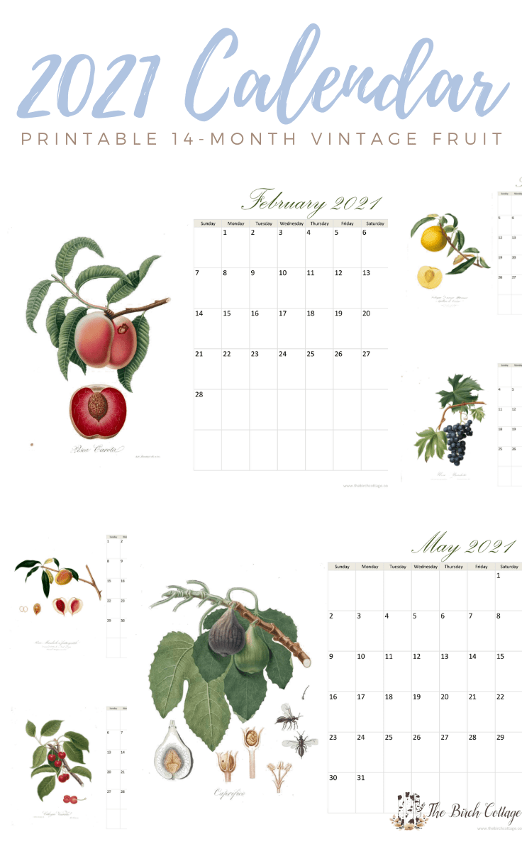 Get a jump start on your home organization goals with this 2021 printable calendar featuring vintage fruit. 