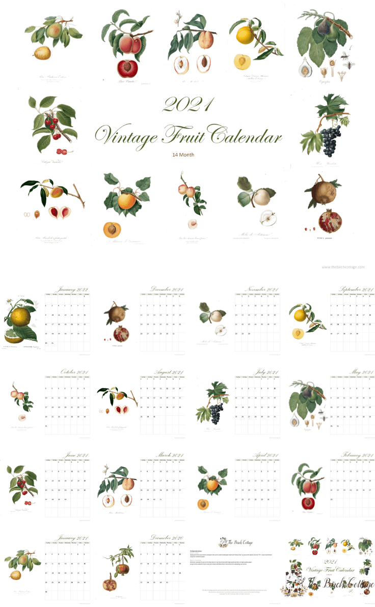 2021 printable Calendar with vintage fruit illustrations