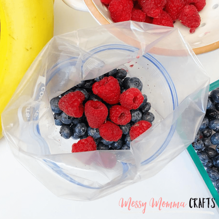 Frozen Smoothie Packs: An Easy Healthy Treat