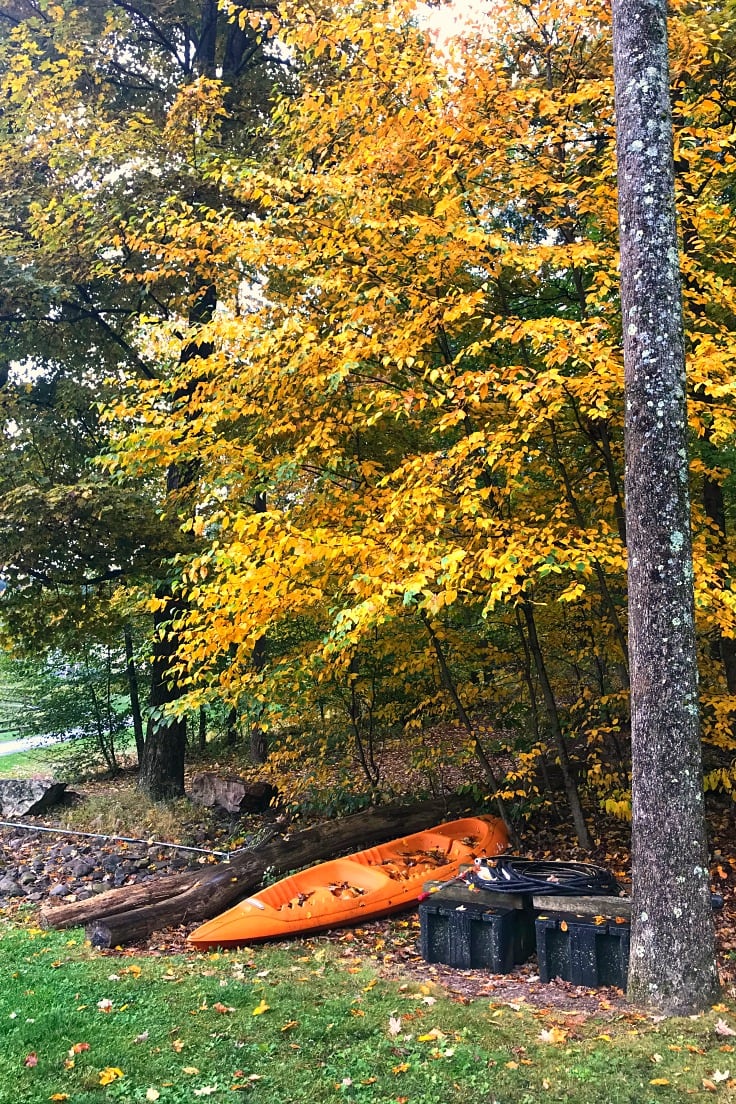 canoes under a tree with yellow leaves in the fall
