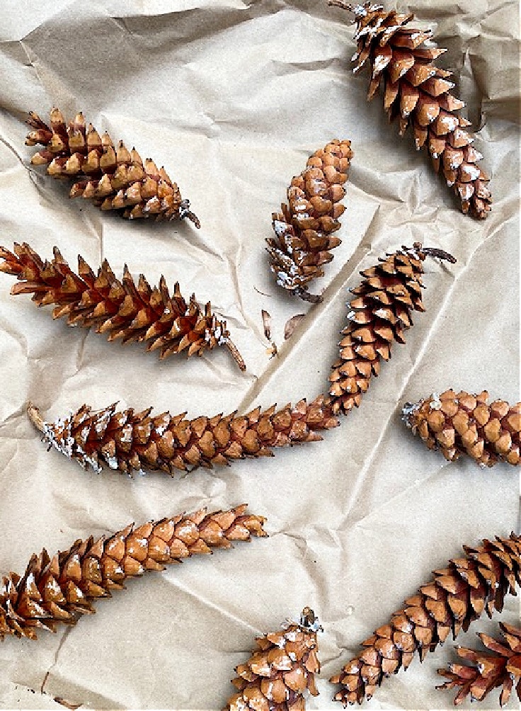 pine cones baking