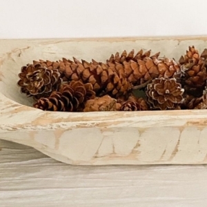 pine cone feature image