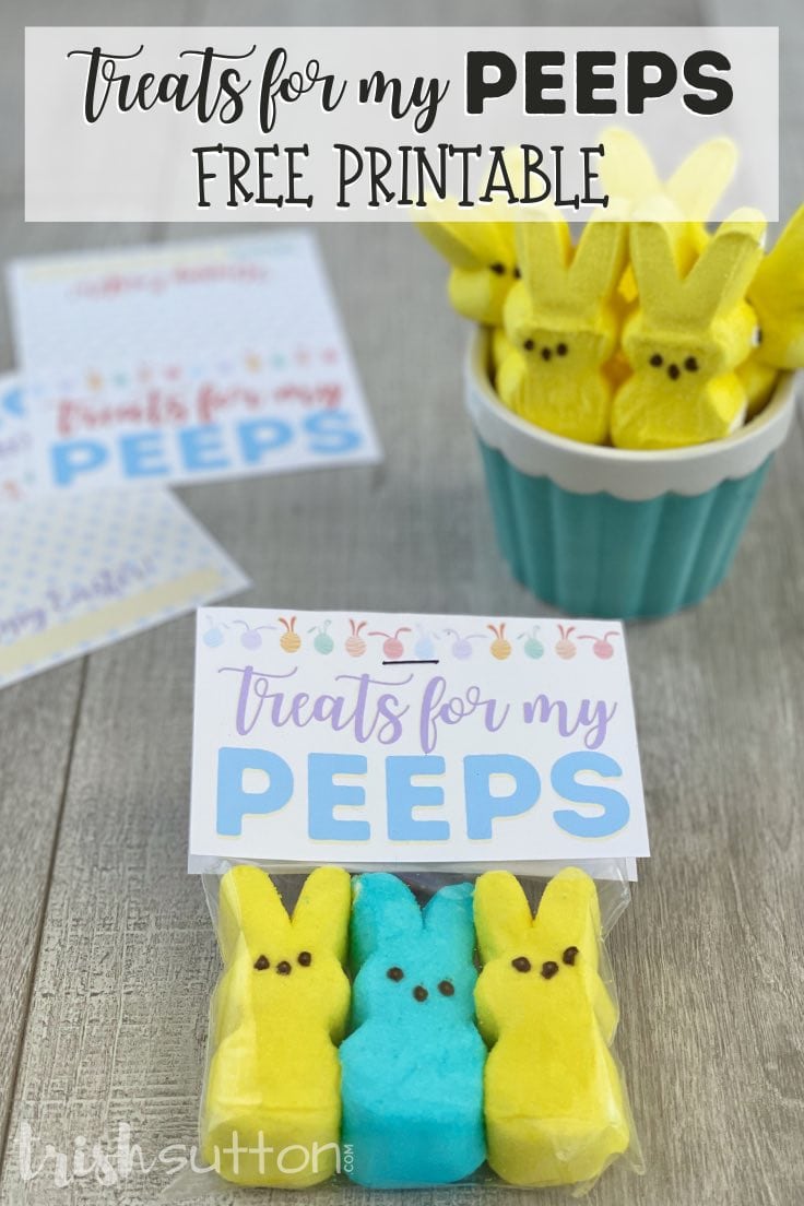 Treats for My Peeps Easter Gift with free printable gift tags on a wood backdrop.