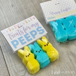 Treats for My Peeps Easter Gift on a wood background.