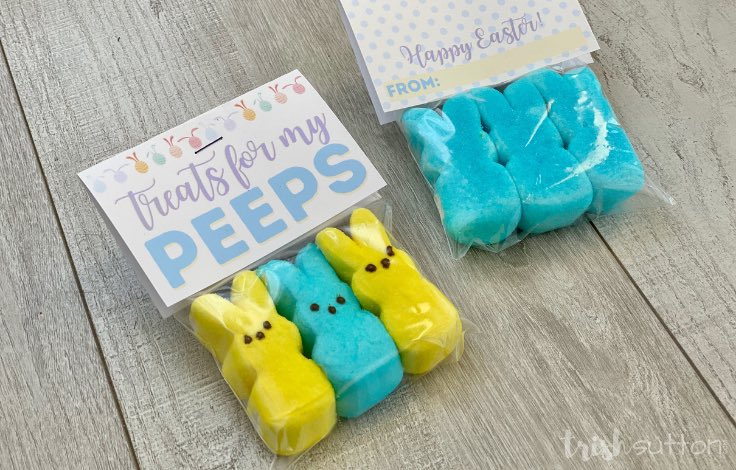 Front & back sides of Treats for My Peeps Easter Gift with free printable gift tags on a wood backdrop.