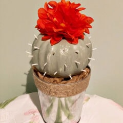 cactus pumpkin with red flowers