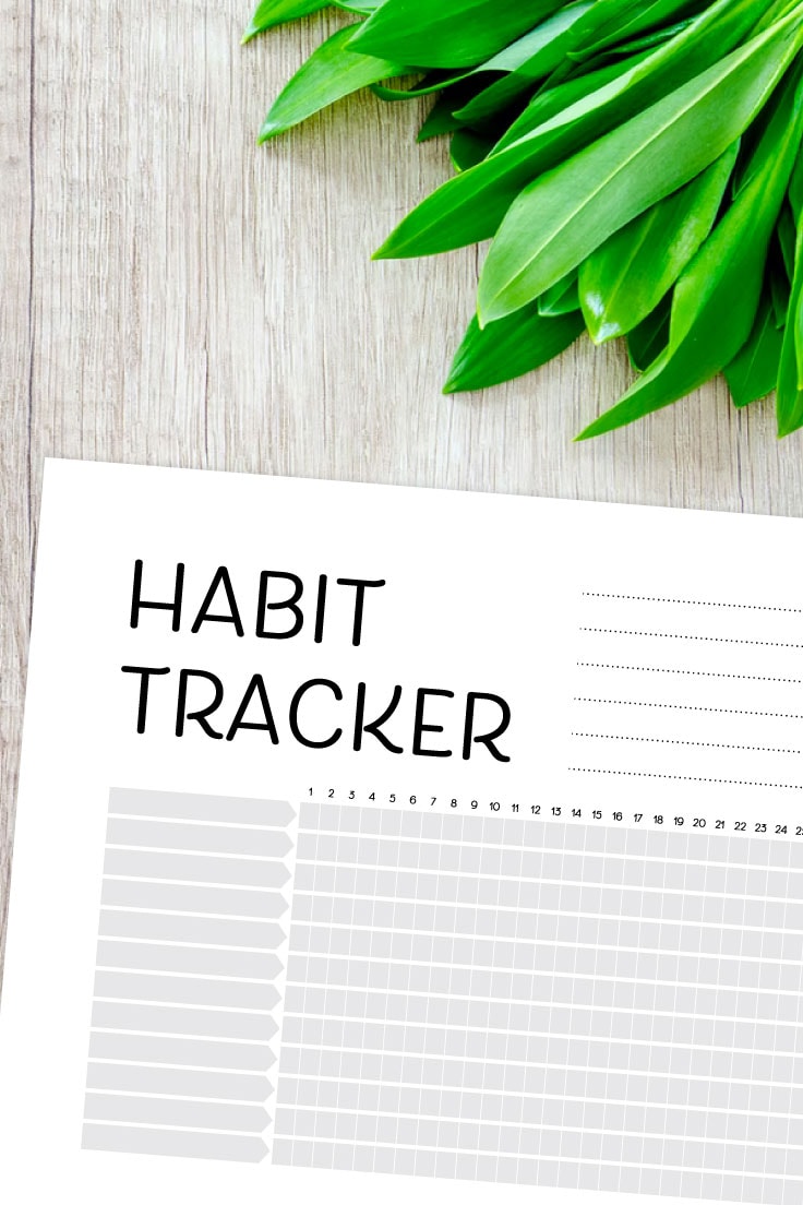 Cropped view of PDF of habit tracker on wooden desk with greenery in the upper right hand corner. 