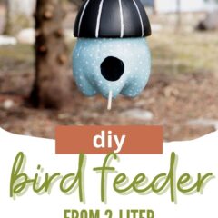bird feeder made from 2-liter plastic bottle