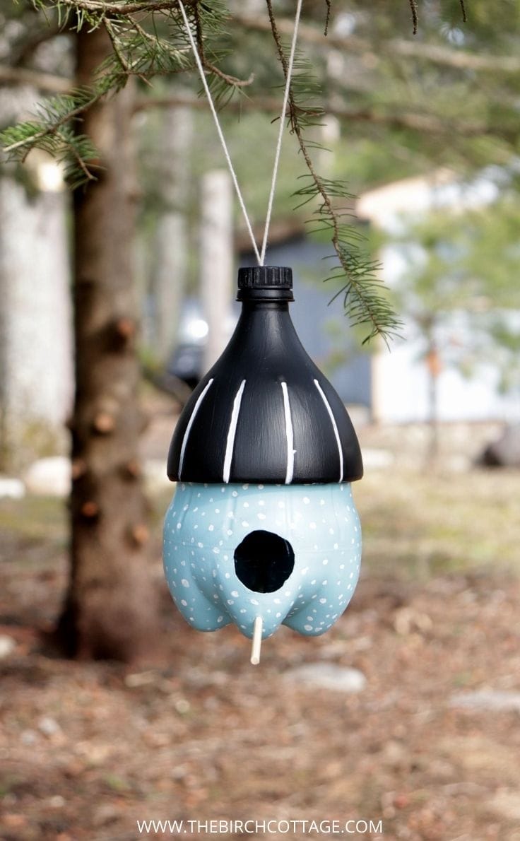 Homemade DIY bird feeder from a black and blue painted soda bottle.