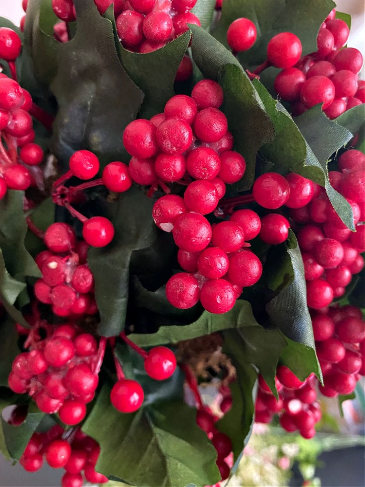 close up of red berries on topiary