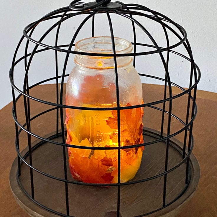 Mason Jar Leaf Lanterns for Fall in birdcage