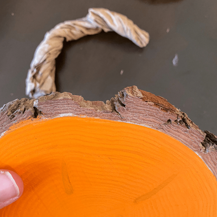 Close up of the edge of a wood slice with a notch in the bark for the stem to go. Stem is laying in the background.