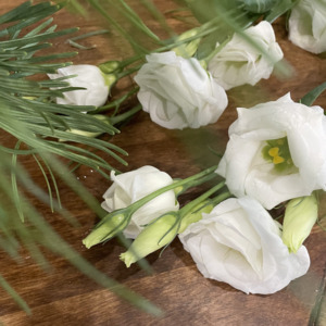 White Holiday flowers for easy DIY centerpiece.