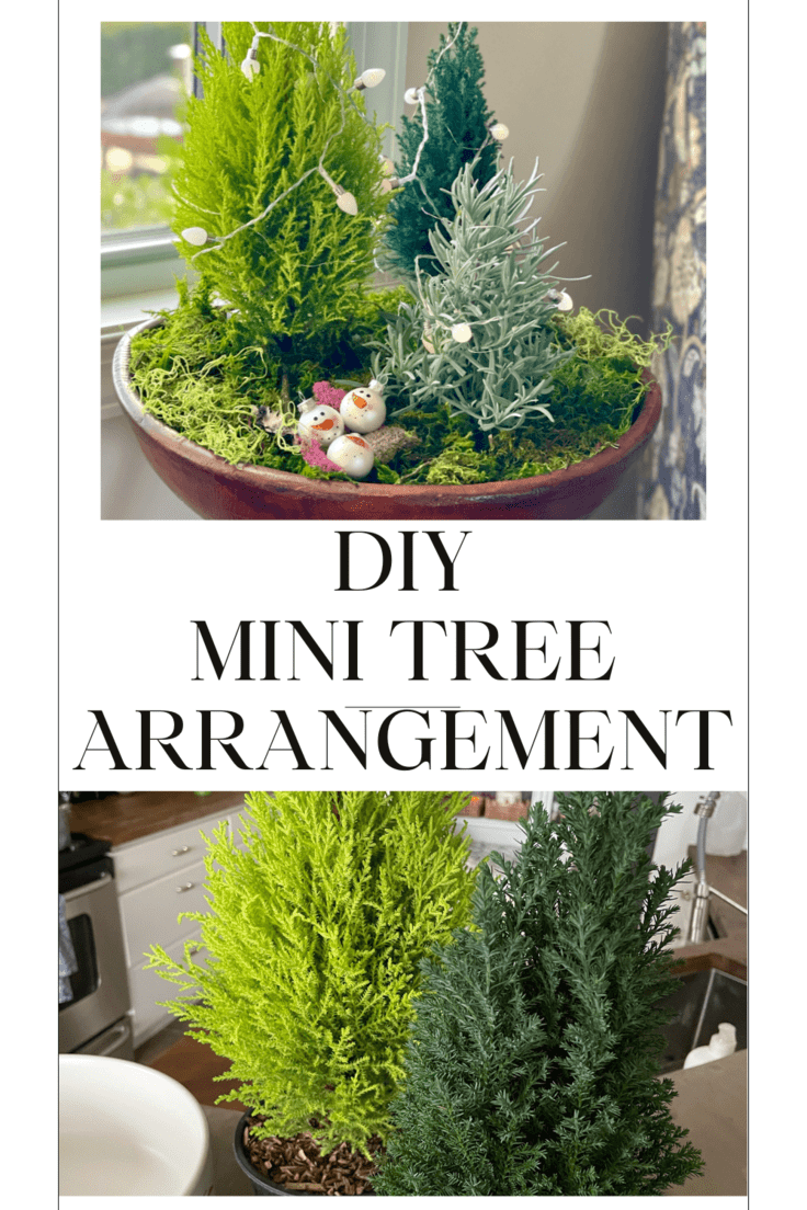 Pin Image for DIY Mini Tree Arrangement.