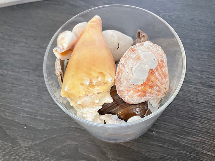 glass jar full of seashells on table