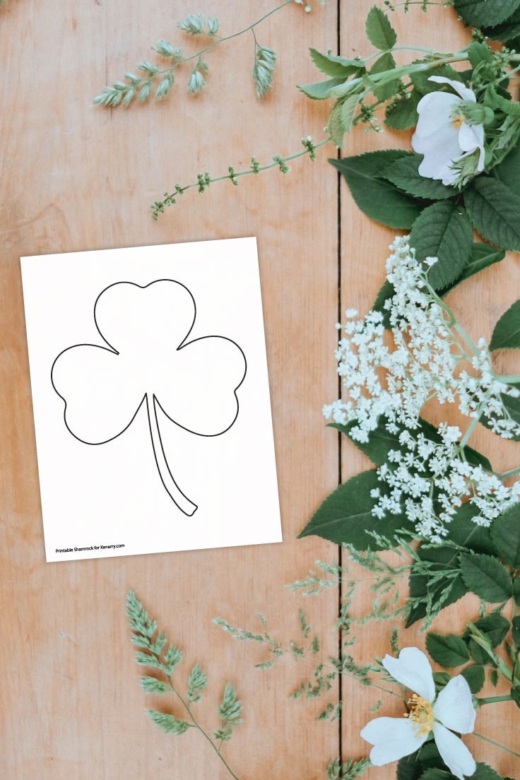 Preview of three leaf shamrock shape on a wooden background with leaves and white flowers on the right side.